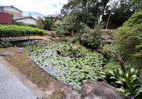 image (6)
